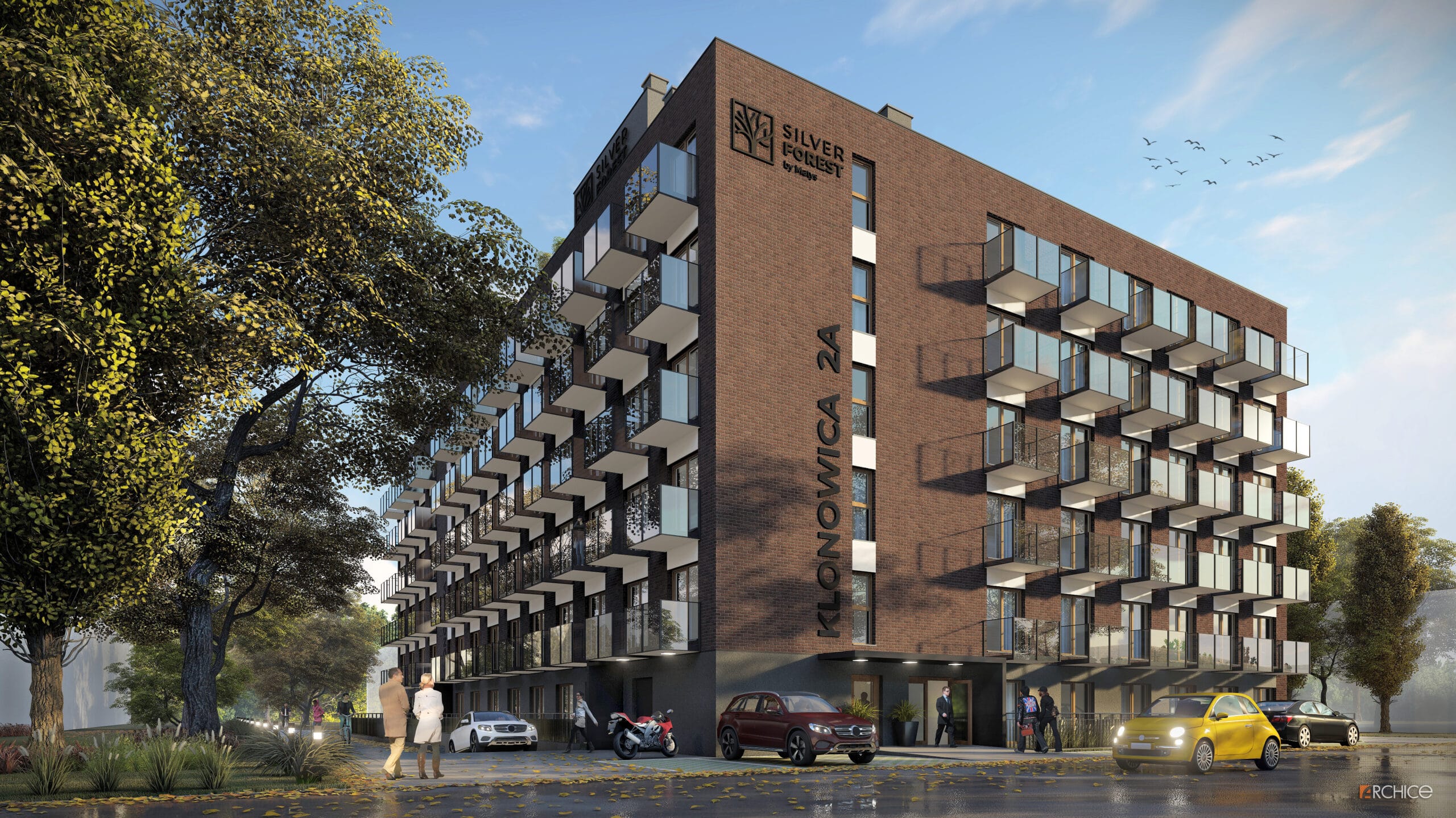 Silver Forest - zdjęcie realizacji